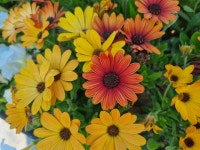 [오늘의 날씨] 경기·인천(7일, 토)...오전까지 약한 비