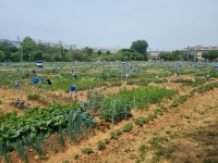 [오늘의 날씨] 경기·인천(5일, 일)···대체로 흐리고, 낮더위 주춤