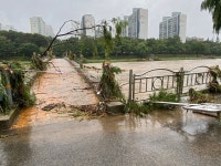 [중부 집중호우] 성남 탄천 가로등 뽑히고, 가로수 넘어지고…피해 속출