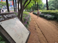 [인천둘레길 - 8코스] 쉼하기에 제격...동막역 출발해, 승기천 지나면 문학산 오르는 코스