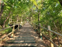 [인천둘레길 - 8코스(문학산)] 미추홀왕국의 발상지, 유서 깊은 역사적 장소 문학산에 올라보니