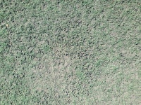 [단독] 미끄럽고 끈적거리는 운동장 인조잔디, 학생들도 외면 어쩌나