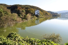 김보라 안성시장 금강호수 녹조원인은 적은 강수량