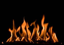 가평 염소농장서 불, 1명 다치고 염소 5마리 폐사