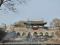 보기만 해도 시원...화홍문 앞 분수 물줄기