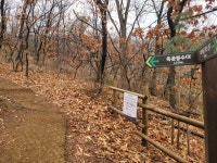 [서로이음길] 9코스 승학산 둘레길...다음 달 철쭉 만개한 분홍빛 경관 기대돼