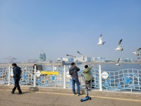 [서로이음길] 10코스 주변 경인아라뱃길 탐방...전망대 통해 경인항 풍경 한눈에 볼 수 있어 가족 단위 방문객에 인기