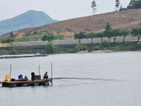 낚싯대가 몇 개야?... 욕심 많은 강태공