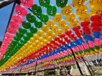 [사진으로 봤다] 용문사에 내걸린 형형색색 연등