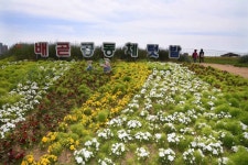 우리가 도시농부... 행복 쑥쑥자라는 시흥 배곧텃밭나라
