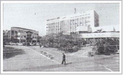 옛 인천의 향수를 찾아서 ㊵ 인적이 드물던 산골마을 남동