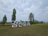 봄비 내리는 강천섬