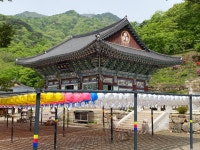 양평 용문사에 내 걸린 형형색색 연등