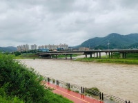 [사진으로 봤다] 제헌절 호우경보 내린 동두천시 신천 13개소 교량에서 본 신천 물 길