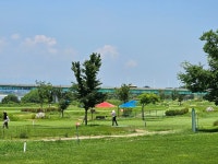 더위쯤이야 폭염에 파크골프 삼매경