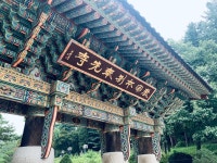 [사진으로 봤다] 천년고찰 그리고 연꽃 엔딩, 아름다운 봉선사