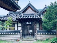 [사진으로 봤다] 천년고찰 그리고 연꽃 엔딩, 아름다운 봉선사