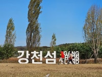 남녀노소 총출동 강천섬에 수만여명 몰려