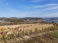 [드본세] 가을엔 강천섬