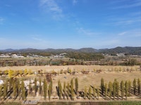 [드본세] 가을엔 강천섬