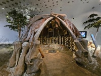 [사진으로 봤다] 오래 전 어떻게 살았을까 연천 전곡선사박물관②