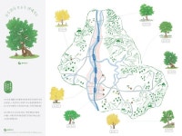 동두천시, 은행나무·느티나무 보호수 안내 지도 제작...자연학습·관광 자원으로 활용 기대