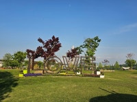 [사진으로 봤다] 구리 한강변 유채 만발, 구리의 봄...미리 가본 2025년 유채꽃축제장