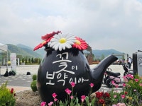 [르포] 꽃이 보약이다...포천 한탄강 봄 가든 페스타, 사람들로 북적