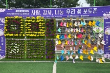 [사진으로 봤다] 이천시 제3회 호법꽃축제 성료...코스모스 꽃길 따라 추억 남겨
