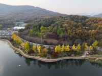 노랗게 물든 이천 설봉호수 둘레길