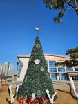 여주 오학동 행정복지센터 앞, 대형 크리스마스트리