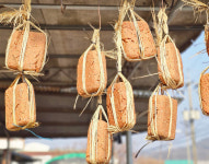 안성 양성면 겨울 마당에 걸린 메주…고향 냄새 가득