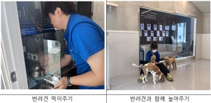 서초구, 추석 연휴기간 서초동물사랑센터 반려견 돌봄쉼터 운영