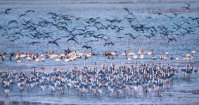 기후에너지환경부, 11월 이달의 생태관광지로 창원 주남저수지 선정