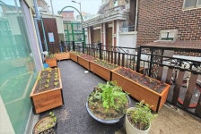 영등포구, 어린이텃밭 조성...꼬마 도시농부들 생태