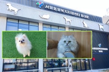 유기동물 입양·건강한 반려 문화 확산…‘동물복지지원센터 동대문’ 개소