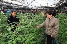 송미령 장관, 충남부여시설농가 방문 소통 행보