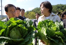 [포토]송미령 장관, 10월 중·하순 배추 주산지 단양군 출하 동향 점검