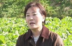 송미령 장관, 충남 홍성군 방문하여 김장배추 생육 상황 점검