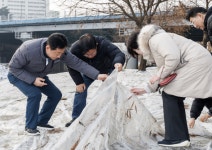 마포구청장, 월드컵천 청보리 식재 현장 환경점검