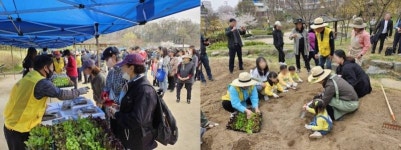 “도시농업에 봄”…은평구, 친환경 나눔 텃밭 개장