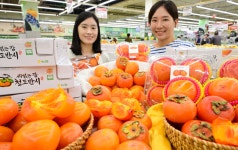 농협유통 하나로마트...가을에만 맛볼 수 있는 청도 반시 선보