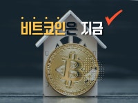 [비트코인은 지금] 단기 조정 속 온체인 거래량 증가…혼재된 심리 지속