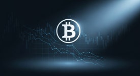 비트코인($BTC) 11만 6,000달러 반등 시도…시장 전반은 약세로 전환