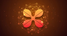 리플 CTO XRP 레저 핵심 업그레이드, 다음 주 적용 가능