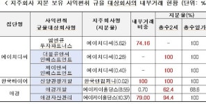 [지주사분석]MnQ투자·신양관광개발·애경자산관리, 총수일가 지배력 원천