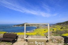 올봄, 치유 정원 청산도로 오세요!