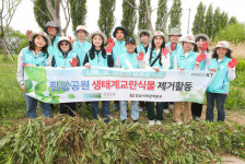 KT, 반포 한강공원에서 생태계 교란 식물 제거 한강 지킴이 봉사활동 
