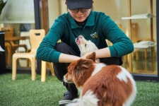 커먼그라운드, 반려 문화 복합공간 커멍그라운드 오픈