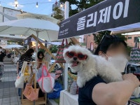 매월 마지막 토요일, 근화동396에서 신나는 일이 열린다